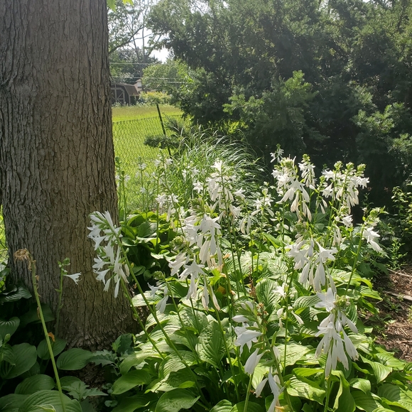 Welcome To My Closet - Picture 14 of 16